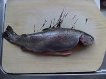 Whole Trout 
