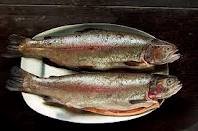 whole gutted trout photo