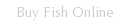 Buy Fish Online