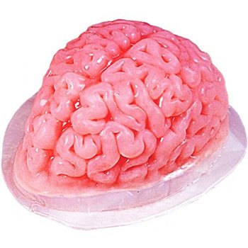 brain mold