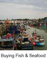 trawlers in a harbour at whitstable