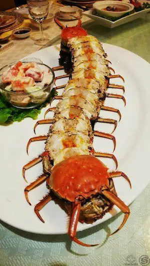 Crab looking like caterpillar Crab looking like caterpillar