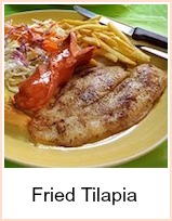 Fried Tilapia