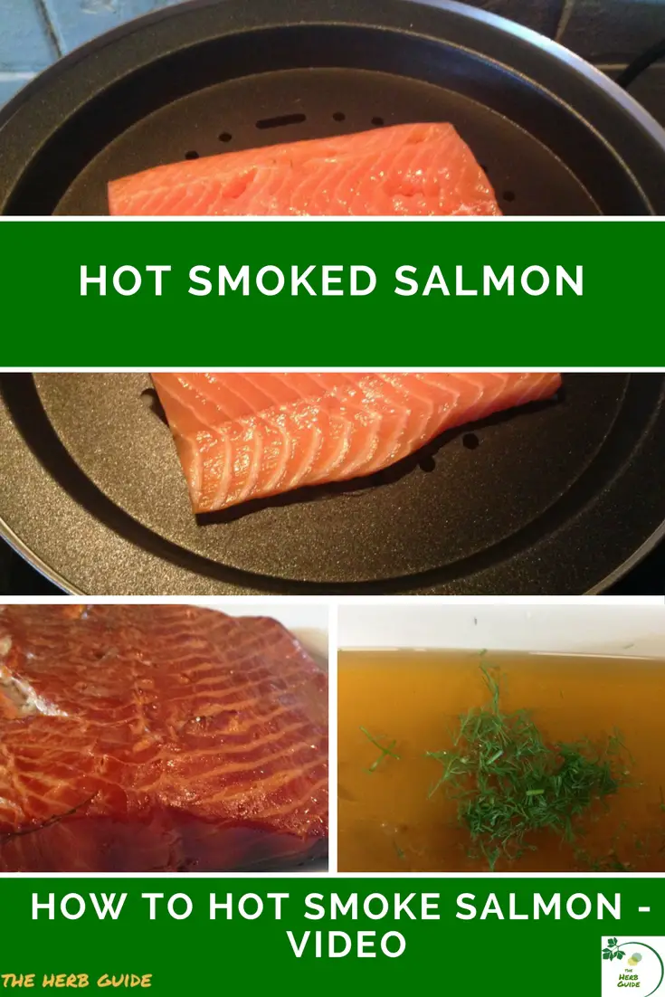 hot smoked salmon