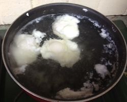 three eggs poaching in water three eggs poaching in water