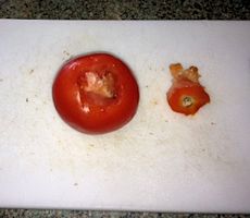 core removed from tomato core removed from tomato