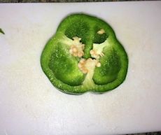 bell pepper bell pepper