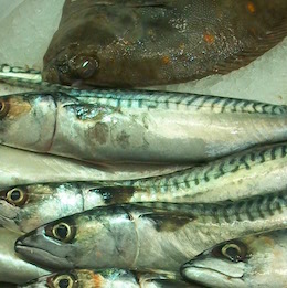 Mackerel in Cider