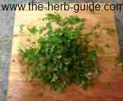 fresh chopped parsley fresh chopped parsley