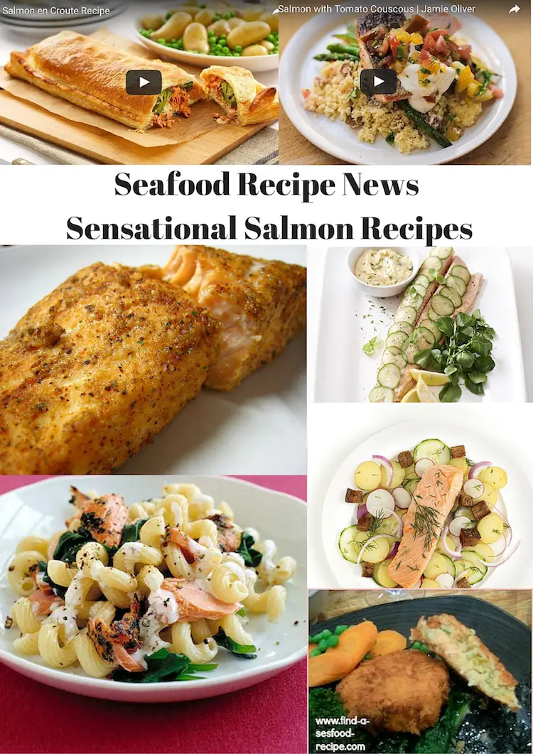 salmon recipes