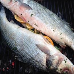 Seabass with Fennel