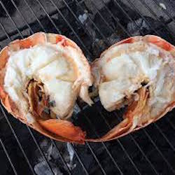 Seafood Newberg Recipe