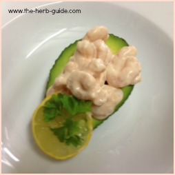 Shrimp Avocado Salad