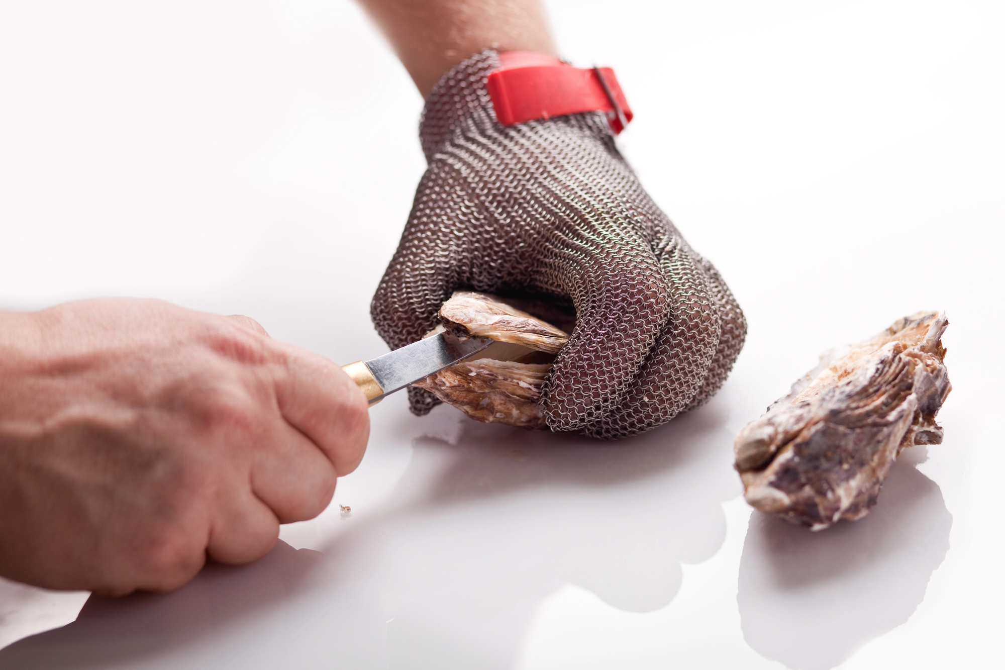 shucking oysters with an oyster knife and protective glove shucking oysters