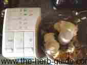 cream cheese added to flaked mackerel