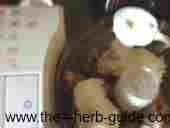 add seasonings to the food processor