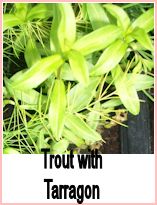 tarragon leaves for trout