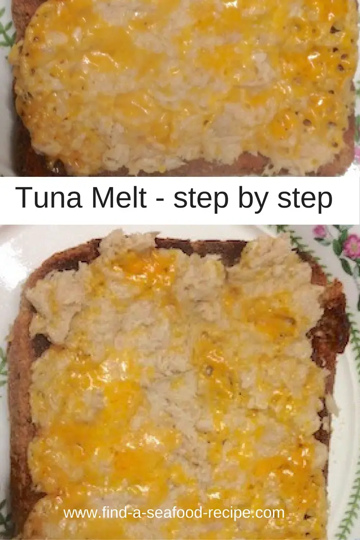 Tuna Melt Tuna Melt